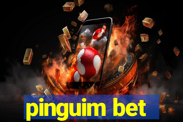 pinguim bet